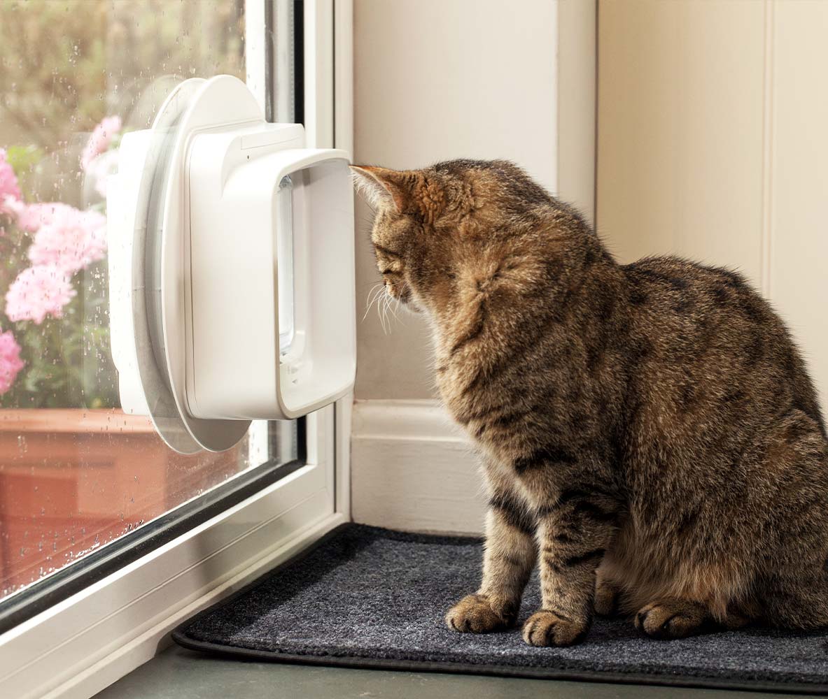 Cat door that fits clearance in window