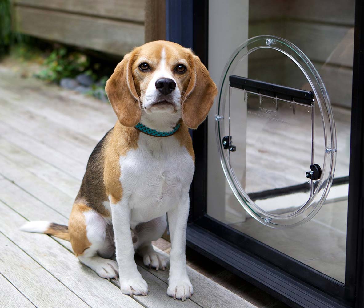 Glass Dog Doors Platinum Pet Doors Glass Pet Doors Sydney