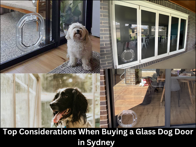 Top Considerations When Buying a Glass Dog Door in Sydney