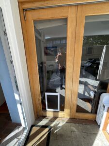 glass dog doors XL